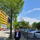 자몽공인중개사사무소 이미지