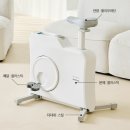 긍정바이크 | 운동기구 스포틀러 원더바이크 접이식 실내자전거 가성비 따져본 솔직 정리