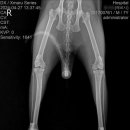 24시 글로리 동물병원 이미지