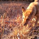 정돌이네 이미지