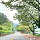 평인일주로 이미지