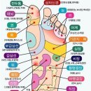 맨발 걷기 진짜 효과는 이것 이미지