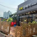 돗배갈매기 이미지