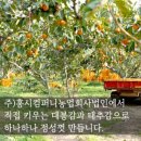불향원
