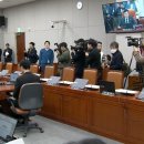 실시간 국회운영위원회 불참한 국민의힘과 대통령실 관계자들 이미지