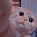 (주)덕해 이미지