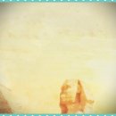 에이라인치과병원 이미지