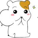 아는언니 이미지