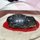 세계화석광물박물관 | 아이와 함께 떠나는 신안섬 세계화석광물박물관 둘러보기