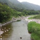 민박미천골 이미지