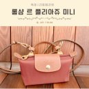 롱샴 르 플리아쥬 미니 파우치 미니백 이너백 스트랩 실착후기