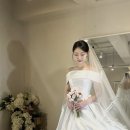 본식 가봉 후기2 :: 렌느 브라이덜 순백의 미카도 실크 드레스(헬렌) - 추천인 앚잦자