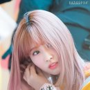 모모E 이미지