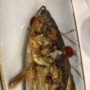 축복회포차 네이버블로그
