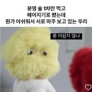 [서울 맛집] 시선 강남2호점 : 강남역 근처 이자카야 방어사시미 맛집 사케 세트 메뉴 솔직 후기