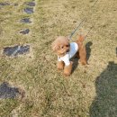 문발공원 이미지