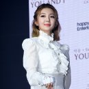 다미 이미지