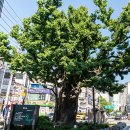 형제약국 이미지