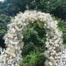 신흥안길 40-15 이미지