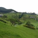 속리산cc 이미지