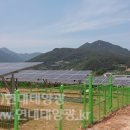 매화정2호태양광발전소 이미지