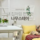 스테이나무 이미지