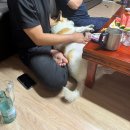 은서농장 | 오육월이었다