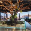 카페리움 이미지