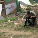 희준농장 이미지