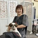 염색에,반하다 이미지