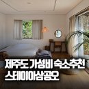 스테이이삼공오