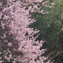 밀양향교 이미지