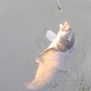 대물낚시터 이미지