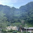 시온인테리어 | 부산 사하구 대형카페 추천, 카페 시온 방문 후기