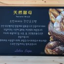 파파베이커리