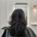 씨유 향남행정중앙로점 | 경기화성향남 유즈헤어 머리잘하는곳 방문 후기 두피클리닉 받고 머리가 숨 쉬는 기분!