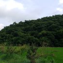 적량면사무소 이미지