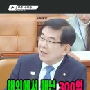 해외 나가서 300억 쓰고 한 일이 고작 이거? #정일영 #기재위 #한국투자공사 이미지