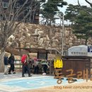 아이더 홍성점 | 고양이로 유명한 홍성 용봉산 등산 후기, 충남 여행 가볼만한곳 데이트코스 추천