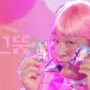 와이펜션 - 영월군 동강로 1488-55 | 와이펜션