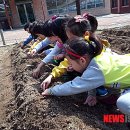 문산초병설유치원 이미지