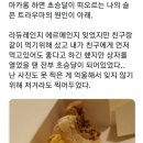 마카롱 이미지