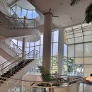 하나아파트 뒷편 산책로 입구 | 블룸호텔 제주 수영장 디럭스 더블 내돈내산 후기 롯데호텔 산책로