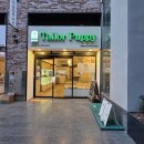 Tailor Puppy | 창원애견미용 찾는다면 스트레스 없이 케어 가능한 창원강아지미용 테일러퍼피 방문 후기