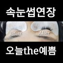 the 예뻐지러 이미지