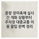 중랑 장미축제 실시간 개화 상황부터 주차장 대중교통 이용 꿀팁 완벽 정리