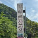 전북 완주 애견 동반 여행 : 자연 속 휴식공간, 늘푸른산장가든