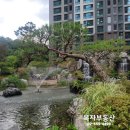 개포선우부동산공인중개사사무소 | [초급매]래미안포레스트 26평｜입주 가능, 지금 가격을 주목해야 하는 이유