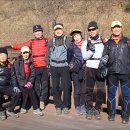 용소골양계장 Daum카페