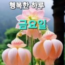 7월19일 장마에도 건강유의하세요ㆍ간추린 뉴스임다 이미지